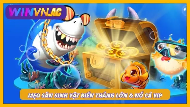 Bí kíp săn sinh vật biển chắc thắng