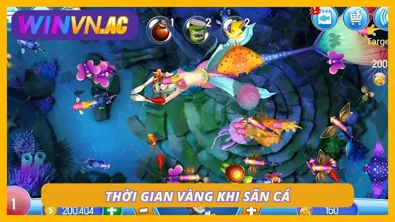 Lựa chọn thời gian vàng để săn cá