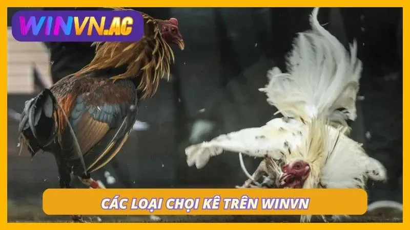 4 hình thức cá độ siêu hot
