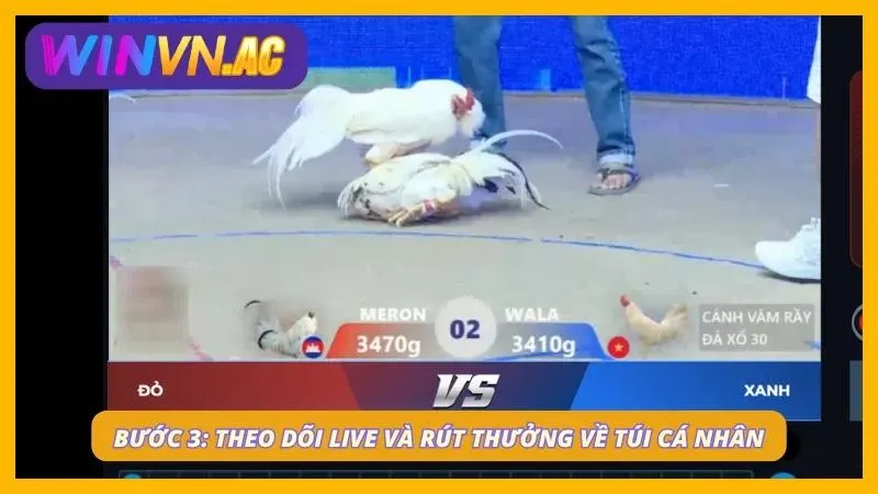 Theo dõi trận đấu để biết thắng thua