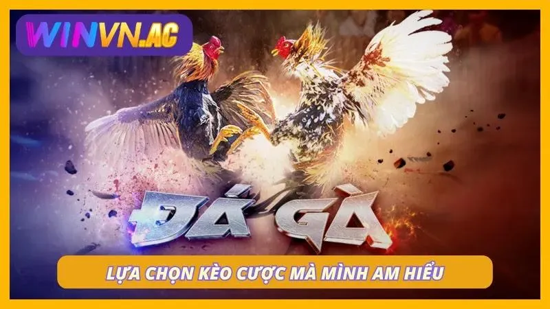 Đầu tư vào kèo cược mà mình hiểu rõ