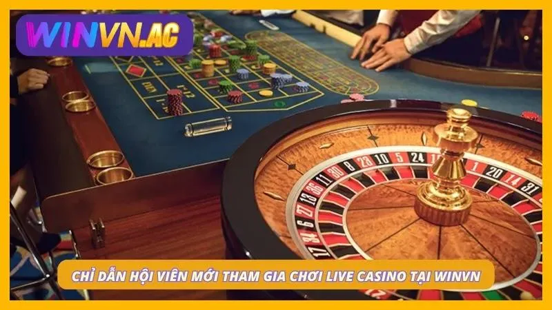 Chơi live casino dễ dàng với 4 bước cơ bản