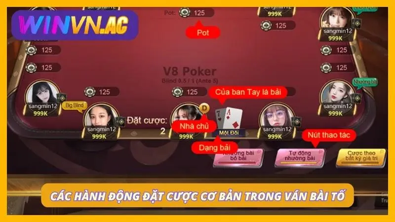 Cách hành động cược cơ bản mà anh em sẽ thấy khi tham gia một ván bài tố